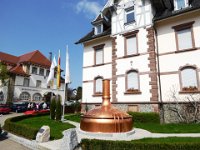 11 Cerisiers en fleurs dans l&#39;Ortenau Mösbach 10 04 2016 72